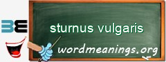 WordMeaning blackboard for sturnus vulgaris